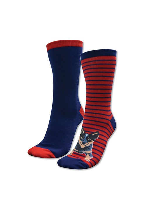 Thomas Cook - Adults Homestead Socks - Navy/Red Blue Heeler