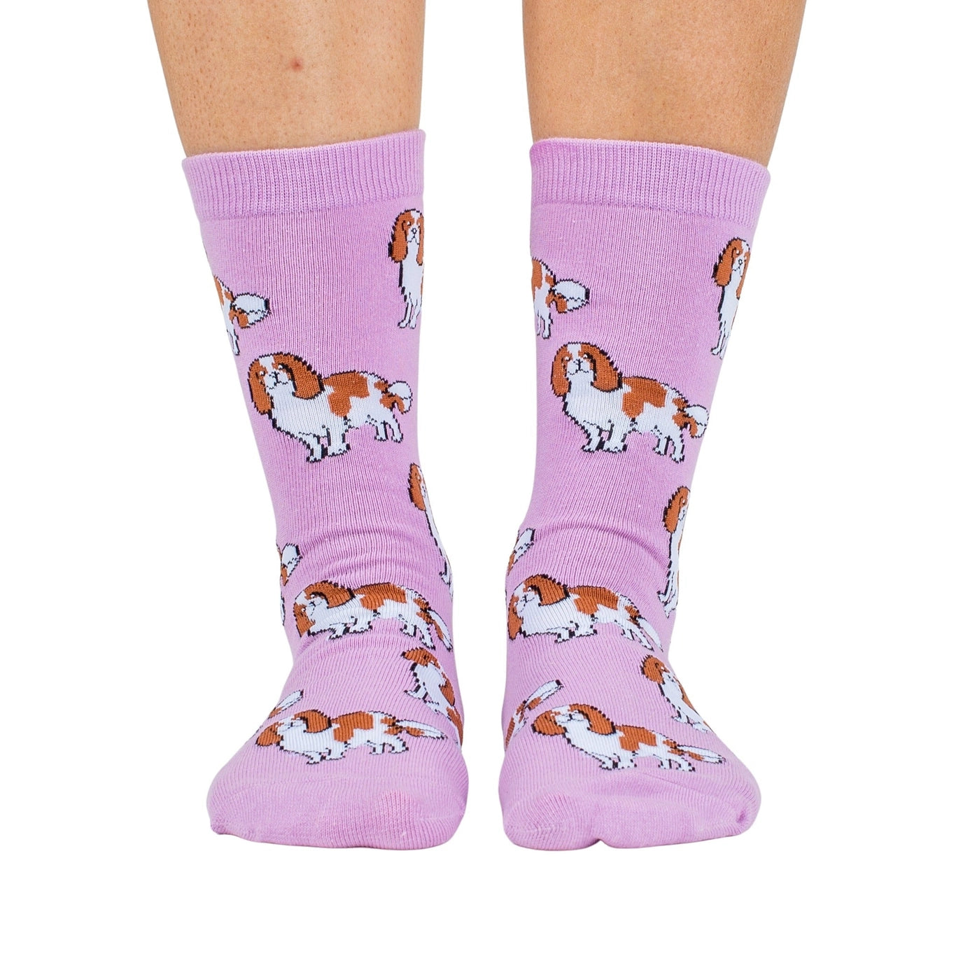 Pablo & Co - Dog Breed Socks - King Charles Cavalier