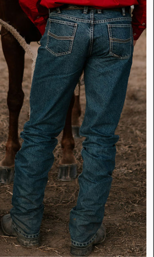 Pilbara - Western Jean - Brahman