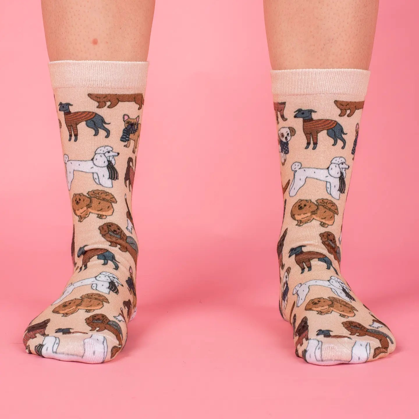 Pablo & Co - Dog Breed Socks - Winter Pooches