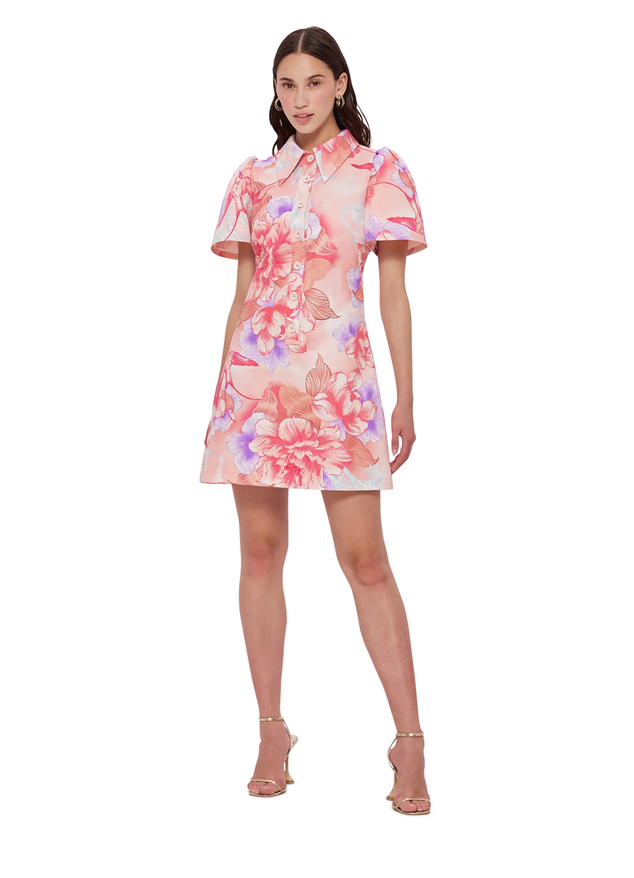 HIRE DRESS - LEO LIN - BROOKE SHIRT SLEEVE MINI DRESS - SWALLOW PRINT IN LUSH