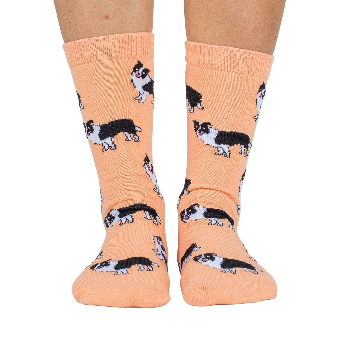 Pablo & Co - Dog Breed Socks - Border Collie