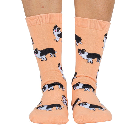 Pablo & Co - Dog Breed Socks - Border Collie