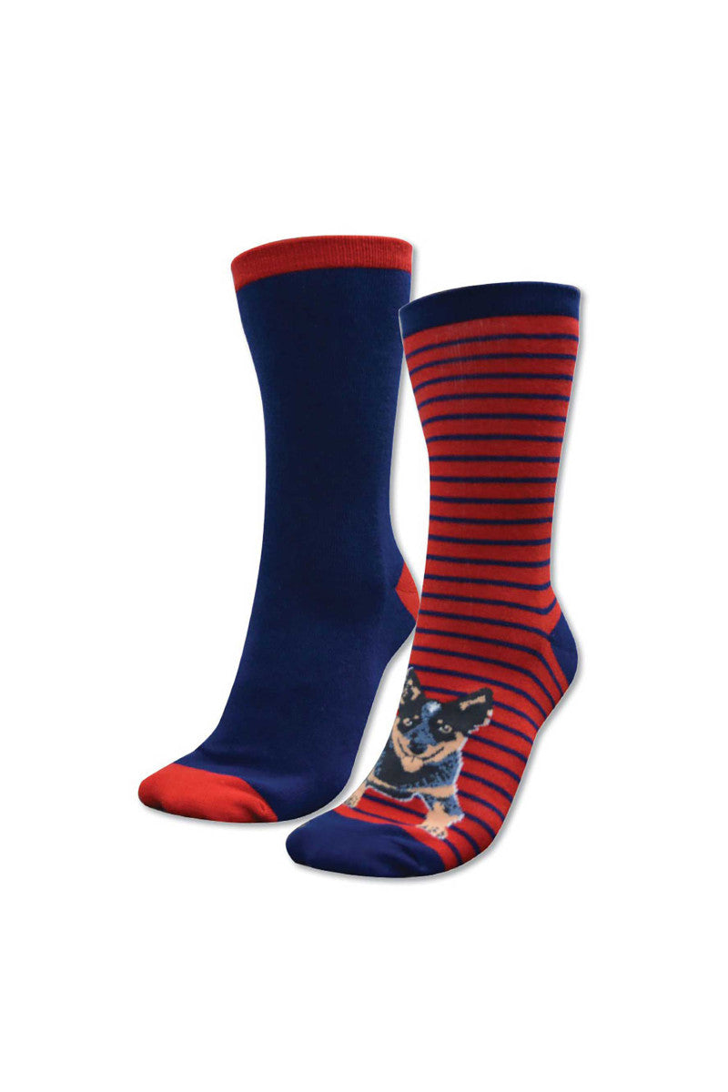 Thomas Cook - Kids Homestead Socks - Blue Heeler Twin Pack