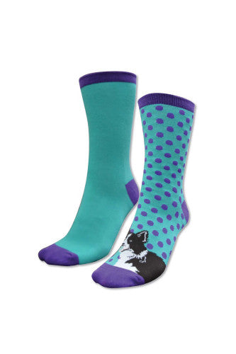 Thomas Cook - Homestead Socks - Collie Twin Pack