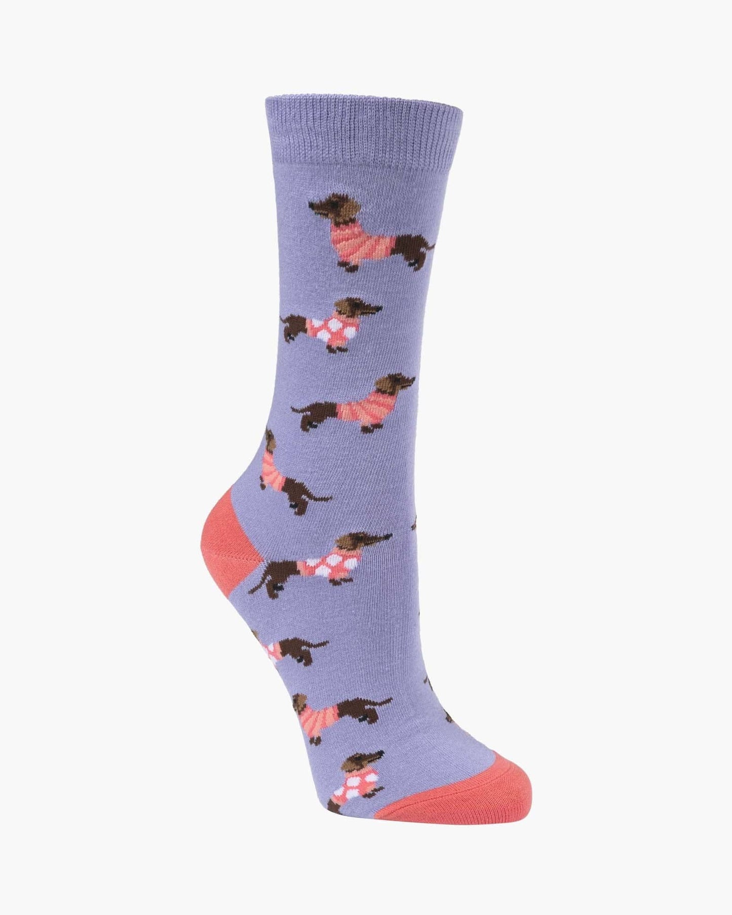 Bamboozld - Womens Jumper Dachshund Sock - Lilac