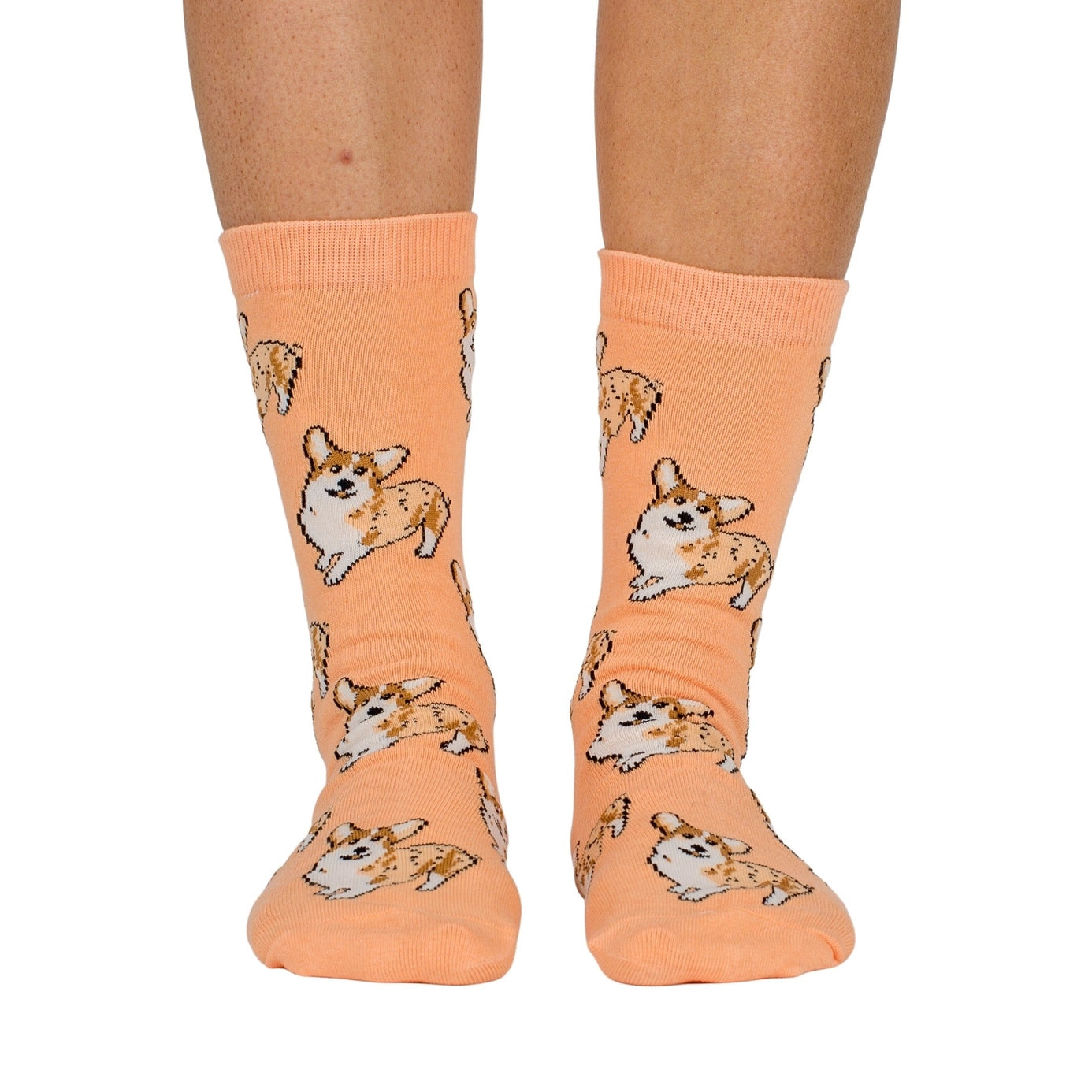 Pablo & Co - Dog Breed Socks - Corgi