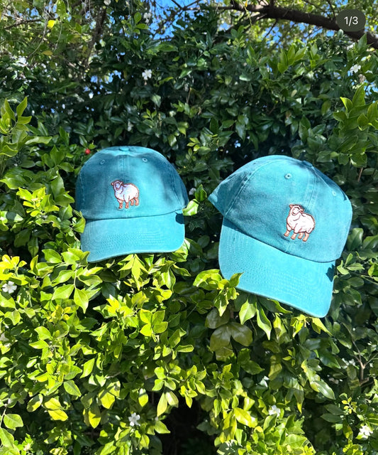 Country Wear - Washed Cap - Green