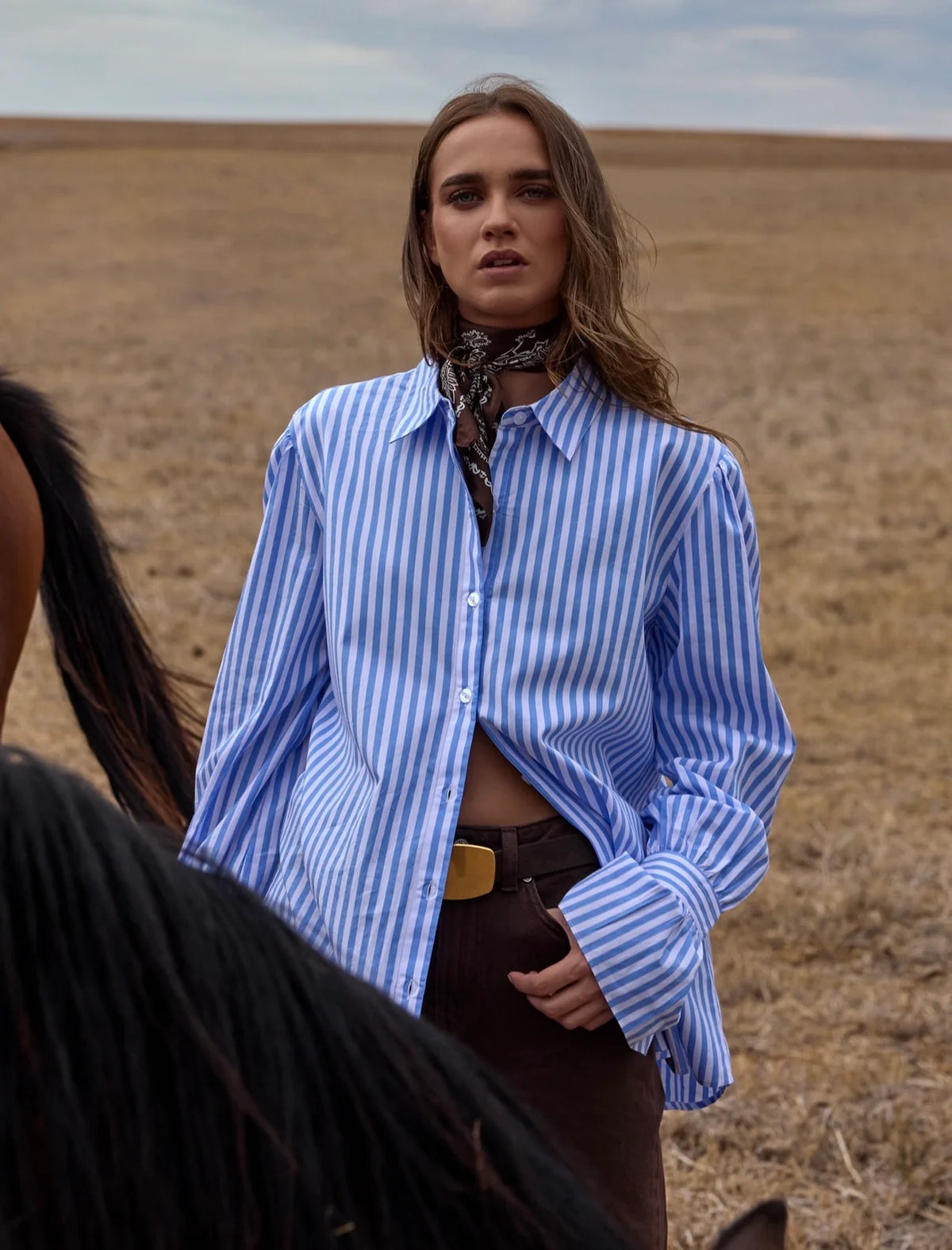 Peter Bill - Paige Shirt - Blue/White Stripe