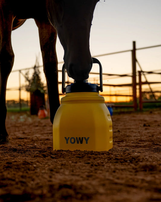 YOWY - 3L Watercan - Yellow
