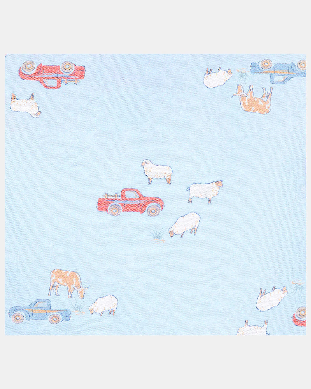 Toshi - Sunhat Joyride -  Sheep Station