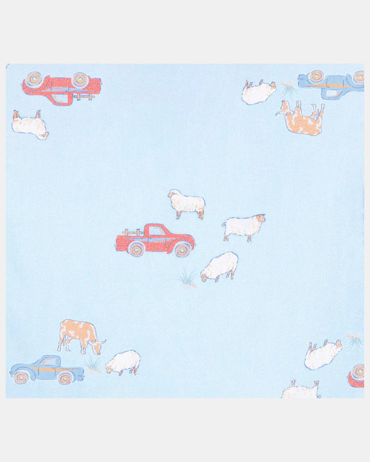 Toshi - Sunhat Joyride -  Sheep Station